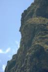 profil inca