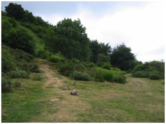 on est mont par le chemin  gauche; on revient par celui de droite