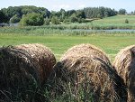 [Cliquer pour agrandir l'image]