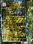 [Click to enlarge]
